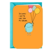 Hallmark Birthday Card for Sibling (Glad to Celebrate You)