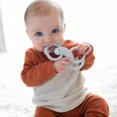 thumbnail image 3 of Dr. Brown's Flexees Sloth Teether Gray, 3 of 6