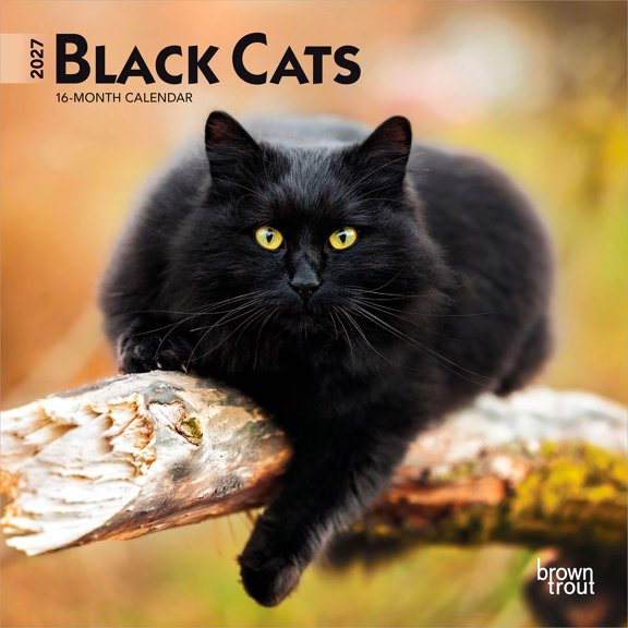 Black Cats | 2027 7x14" (Hanging) Mini Wall Calendar | BrownTrout