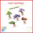 Bonsai Tree kit NIFSEL Bonsai Growing Kit Complete Starter kit, 5