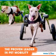 Walkin' Wheels Dog Wheelchair - Vet Approved - Med to Large Dogs 50 - 69 lbs