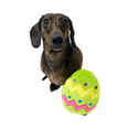 thumbnail image 2 of Midlee Plush Easter Egg Dog Toy with Squeaker (Green)-Large, 2 of 7