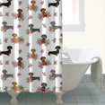 thumbnail image 4 of Dachshund and Rose White Pattern Modern Waterproof Shower Curtain Set with 12 Hooks, Washable Decorative Bathroom Shower Curtain, 4 of 6