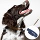 thumbnail image 4 of Collar de perro impermeable para perros pequeños, medianos y grandes, collares ajustables a prueba de olores, 4 of 5