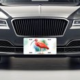thumbnail image 3 of Scarlet Ibis Bird Watercolor Metal Novelty License Plate, 3 of 7