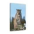 thumbnail image 2 of Cougar Hunting Cougar on Hunt Print Animal Wall Art Wildlife Canvas Prints Wall Art Ready to Hang Unframed, 2 of 18
