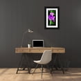 thumbnail image 3 of Hausenflock, Alan 9x14 Black Ornate Wood Framed with Double Matting Museum Art Print Titled - Spiderwort I, 3 of 4