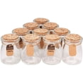 thumbnail image 1 of Reusable Glass Bottles For Personalized Gift Jars, Decorative Mason Jars Transparent With Leak-Proof Pe Lids, Perfect Spice Jar Alternatives Or Wedding Favor Containers, Sturdy And Durable Set Of 10, 1 of 5
