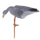 thumbnail image 1 of Señuelo de Cacería Animal Tamaño Natural Cuerpo Hueco Jardín Ornamento Comiendo Sunnimix Señuelo de caza de gansos, 1 of 8