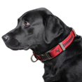 thumbnail image 2 of Collar Para Mascotas Premium Littlearth Tampa Bay Buccaneers Nfl, 2 of 4