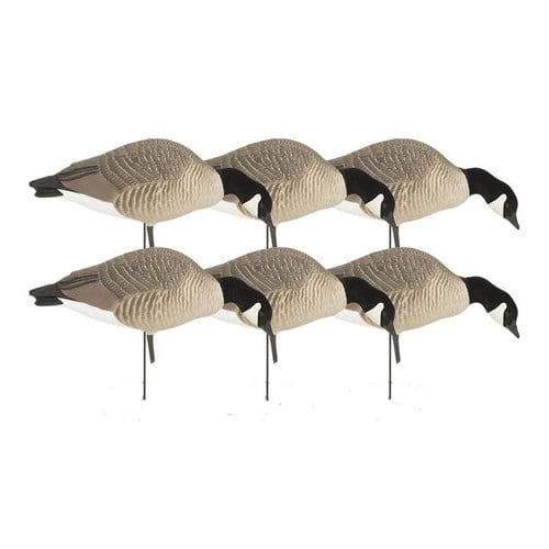 Greenhead Gear Hunter Series Canada Feeder Pack - 6 Pack