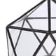 thumbnail image 5 of Terrario de vidrio geométrico transparente, joyero, invernadero, maceta, portavelas 15 x 15 x 15 cm, 5 of 9