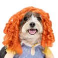 thumbnail image 2 of Vibrant Life Halloween Costume for Dogs and Cats, Pop Princess, Multicolor, Small, 2 of 9