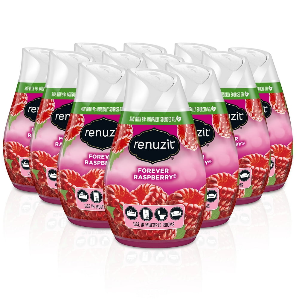 Renuzit Gel Air Freshener Cone, Forever Raspberry, 12 Count Walmart