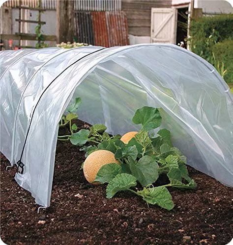 Plant Cover&Frost Blanket for Season Extension Keep Warm and Frost Protection,12x50ft Agfabric 3.1Mil Plastic Covering Clear Polyethylene Greenhouse Film UV Resistant for Grow Tunnel and Garden Hoop 