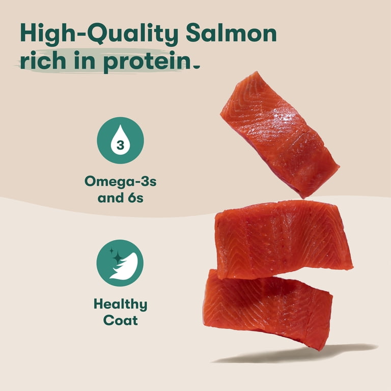 Salmon and Pumpkin Jerky Dog Treats, 5 oz photo 4