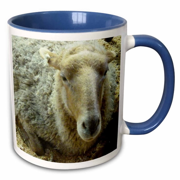 3drose, Fuzzy Sheep, 11oz Two-tone Blue Mug