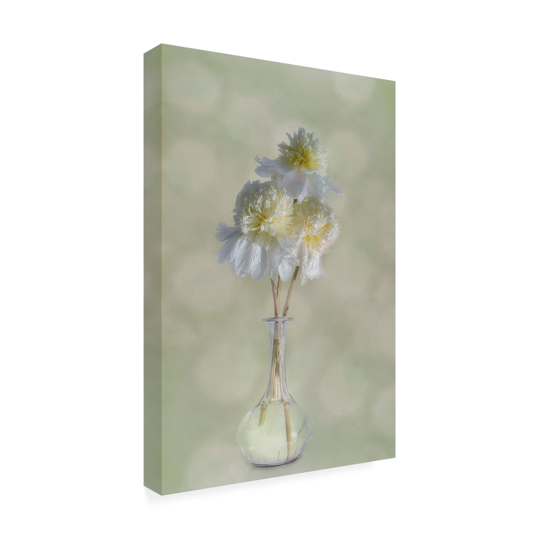 Canvas Wall Art - Gaille Gray 'Peonies' Wall Art for Living Room, Bedroom, or Office Décor by Trademark Fine Art - 16 x 24 Inches