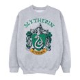 thumbnail image 1 of Harry Potter Boys Slytherin Crest Sweatshirt, 1 of 6
