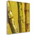 thumbnail image 2 of Tangletown Fine Art Bamboo Columbia IV by Tita Quintero Poster Frame - 25 x 25 x 1.5 in., 2 of 2