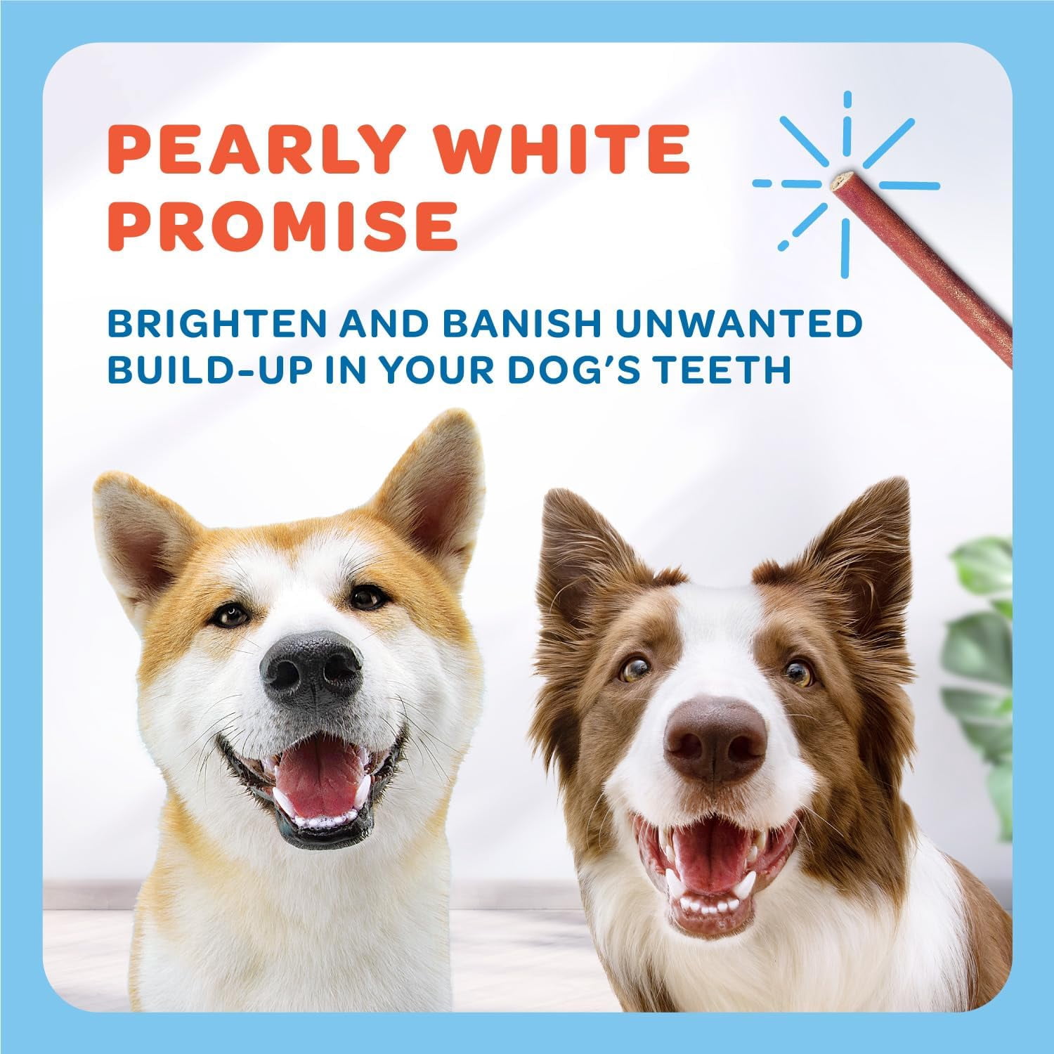 Trusty Paws Beef Collagen Sticks for Dogs, Rawhide-Free Dog Chew Treats, 10 oz, 15-Pack