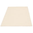 thumbnail image 4 of ECARPET Indoor/Outdoor for Balcony, Patio and Garden Yeta Ivory Rug, 4 of 9
