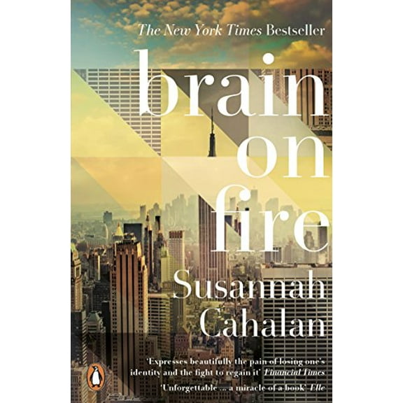 Brain On Fire: My Month of Madness Susannah Cahalan (Paperback)