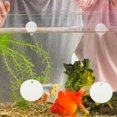 thumbnail image 1 of FOMIYES 2Pcs Fish Bowl Mirror Transparent Acrylic for Betta Enthusiasts, 1 of 8