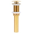 thumbnail image 1 of Drain Filter, Drain Stopper, Polished Brass Finish Kitchen For Adult Without Hole, 1 of 8