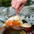 thumbnail image 3 of Tetra Pond Koi Vibrance Color Enhancing Floating Pond Fish Food, 2.42 lbs, 3 of 10