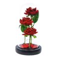 thumbnail image 5 of ZenCart Preserved Rose in Glass Dome LED Light Up Eternal Flower Romantic Forever Rose Gift for Women Valentine's Day Mother's Day, 5 of 8