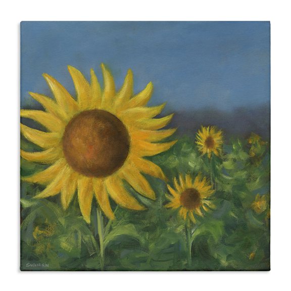 Stupell Industries Mellow Sunflower Garden Botanical & Floral Painting Gallery Wrapped Canvas Art Print Wall Art, 17 x 17