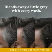 Just For Men Control GX Gradual Gray Reduction 2-in-1 Shampoo Plus Conditioner, 4 oz, 3 Pack