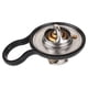 thumbnail image 1 of TERMOSTATO MAGNUM 2005 al 2008 DODGE 2.7L V6 KEEP ON GREEN ., 1 of 3