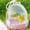 Pink-Free Size/PK, variant on Small Pet Travel Carrier Portable Bird Cage Clear Ventilated Carry Case Front Door Perch Set Vet Visit Travel Enclosure for Parrot Canary Finch Small Feathered Pets Daily Trips Daily Travel Enclosure