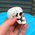 thumbnail image 6 of HaoXun 3PC 5cm Mini Plastic Skull Heads - Realistic Halloween Skeletons for Spooky Party Decor, Indoor/Outdoor Halloween Prop 2025, 6 of 7