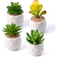 thumbnail image 1 of Paquete de 4 mini plantas suculentas artificiales en macetas, juego de suculentas falsas con macetas de cerámica blanca, plantas suculentas artificiales en maceta para el hogar, 1 of 5