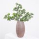 thumbnail image 2 of 2xDecoración De Plantas Artificiales Greenery Wealth Grass + Thuja Sutchuenensis Franch 37cm Sunnimix Decoración de plantas artificiales., 2 of 7