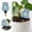 Blue, variant on Frog Shaped Self Watering Spike Automatic Watering Stake Cute Irrigation Device For Indoor Outdoor Potted Plants Garden(Pink-10.2X18.5Cm)