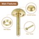 thumbnail image 4 of Uxcell Tornillos Decorativos con Tapas, Tornillos de Espejo Clavos Sujetadores para Muebles Decorativos Dorado 15mm, 4 of 5