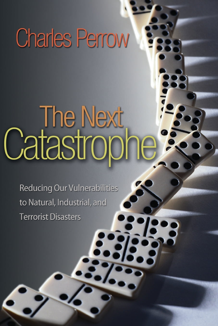 and Terrorist Disasters The Next Catastrophe Industrial Reducing Our Vulnerabilities to Natural