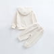 thumbnail image 4 of Odeerbi 3M-3Y Niños Niñas Conjuntos Sudaderas Con Capucha Sweatpants Dos Piezas Conjunto Sudaderas Sueltas de Manga Larga Con Capucha, 4 of 5