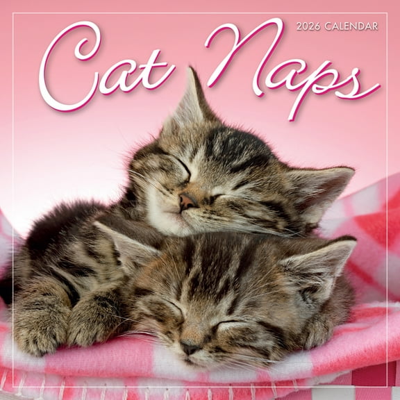 2026 Cat Naps Mini Calendar, (Paperback)