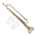 thumbnail image 1 of FUTUREORYY Boys Girls Musical Instruments Golden Brass Kids Trumpet Instrument 1 Set, 1 of 8