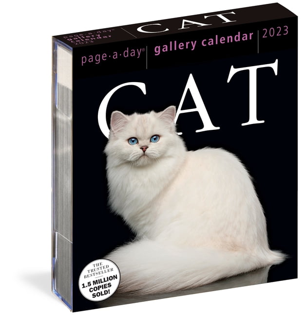 Cat Page-A-Day Gallery Calendar 2023 : A Delightful Gallery of Cats for  Your Desktop (Calendar) - Walmart.com