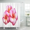 thumbnail image 1 of ABPHQTO Pink Hawaiian Frangipani Flowers The White Red Hawaii Lei Matrimonio Pareja Aloha Bali Cortinas de ducha de baño impermeables Set 165x180 cm ABPHQTO PKNMT66x72Shower-10732, 1 of 2