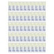 thumbnail image 1 of Bolsas urinarias para niños,Bolsas recolectoras de orina pediátricas transparentes,Bolsas recolectoras de orina transparentes para niños y niñas,Bolsas recolectoras de orina para bebés, 1 of 8