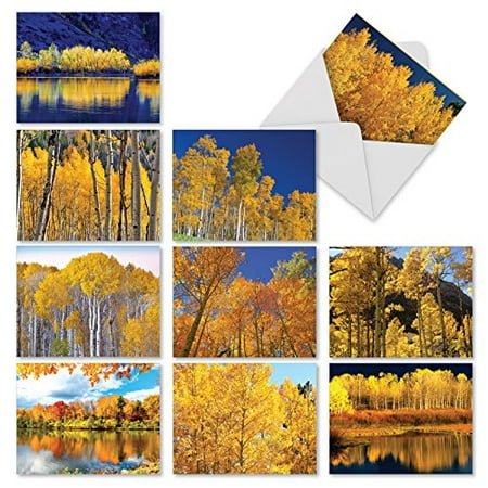 'M1729BN GOLDEN FOLIAGE' 10 Assorted All Occasions Notecards Features Autumn's Golden Glory of Leaves with Envelopes by The Best Card