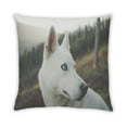 thumbnail image 2 of Ahgly Company Dogs Husky Outdoor Throw Pillow, 18 inch by 18 inch, 2 of 6