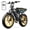 R9-Yellow-2*15AH, variant on TST Electric Bike for Adults, 750W Peak 1500W Motor, 20"x4" Fat Tire E Bicycle, E Mountain Bike, 48V/15AH SGS, App Control
